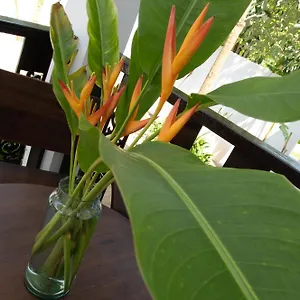 Chalisa Villa Koh Tao